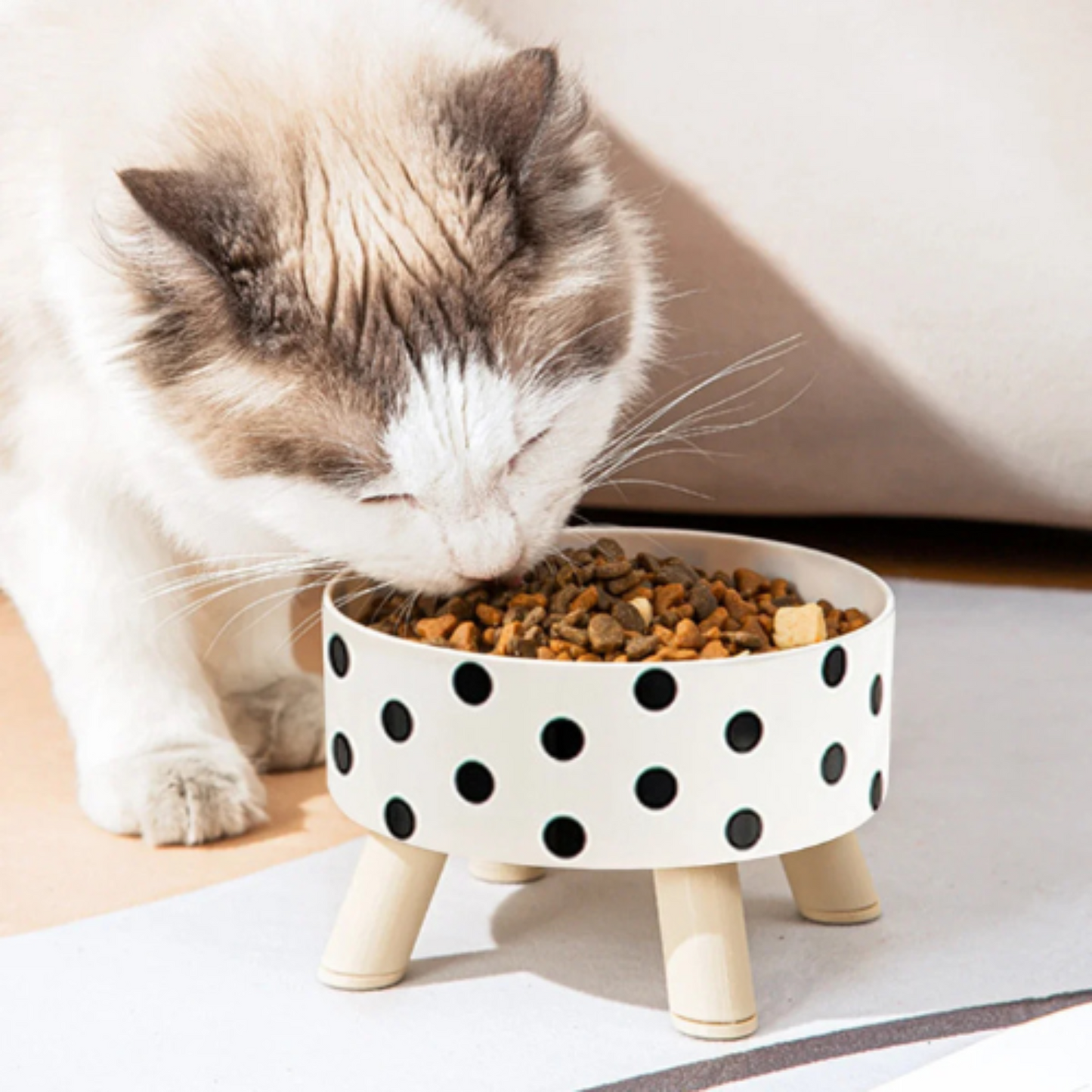 CharmBowl - comedouro vintage cães e gatos