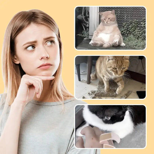 Rato Veloz - Distração para o seu pet