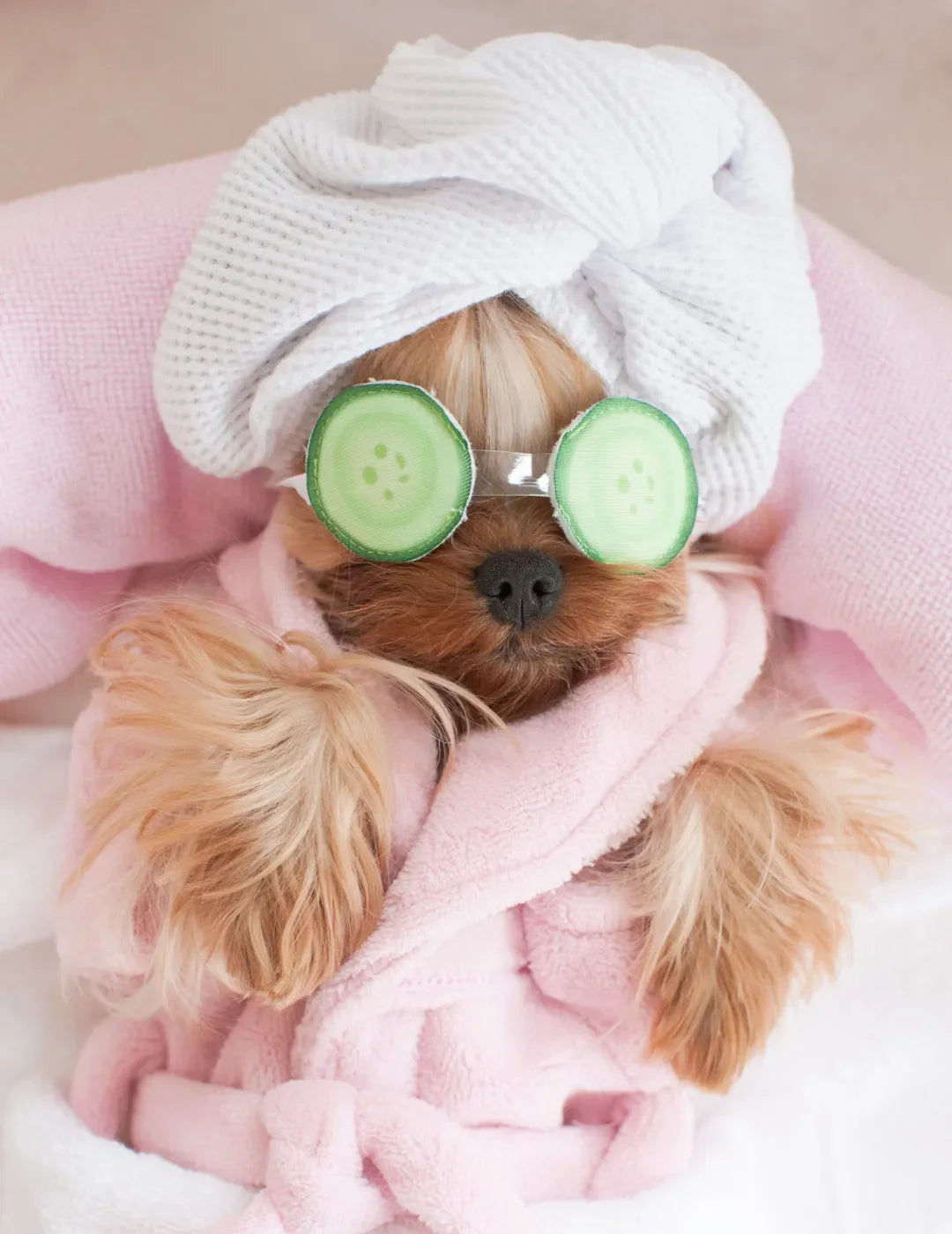 Coleçãp Saúde & Bem estar diário