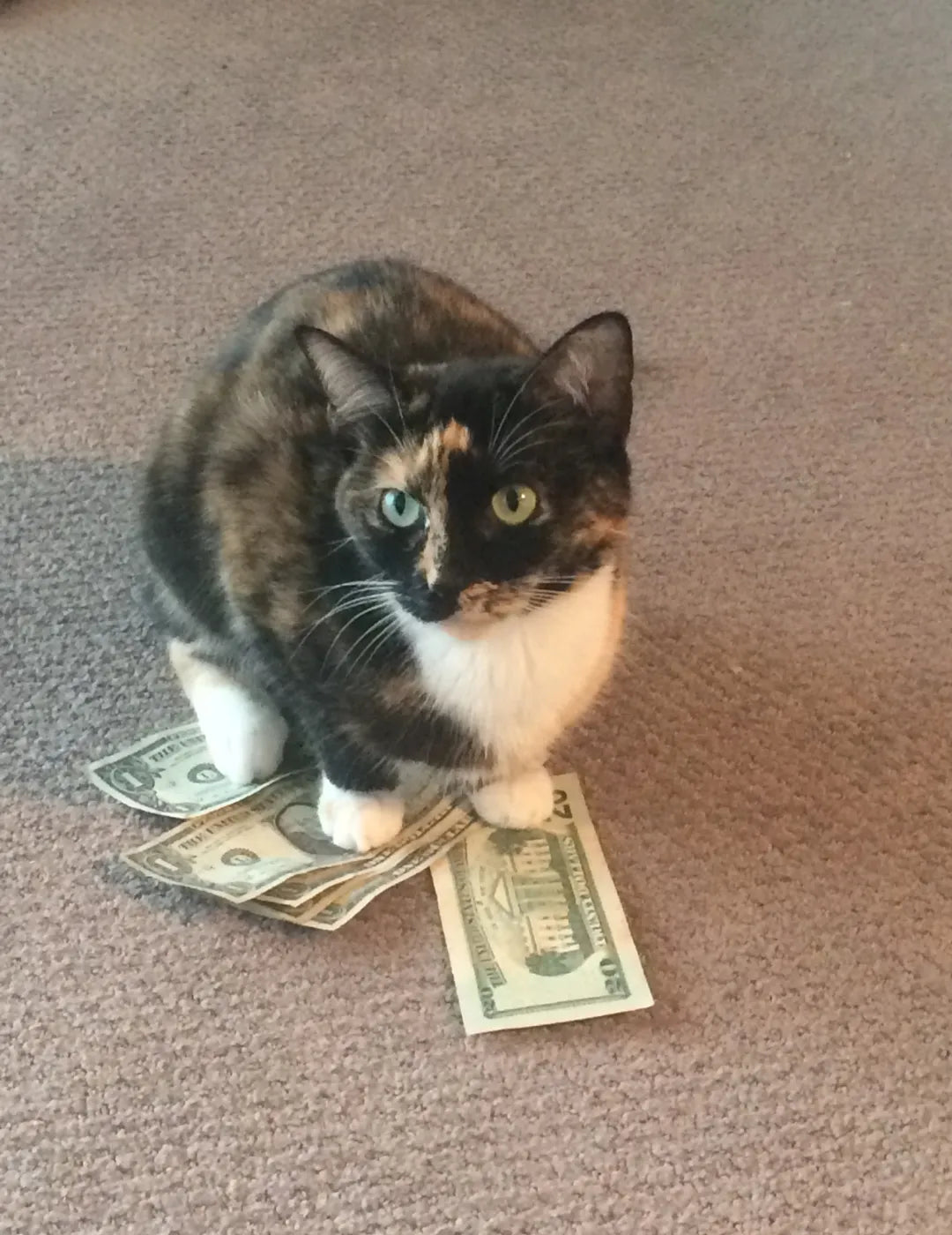 Mais vendidos Sabichinhos