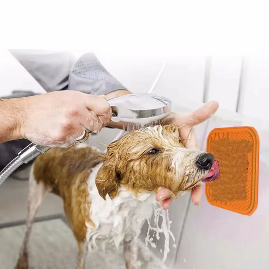 Lambe-Lambe Divertido PetLick