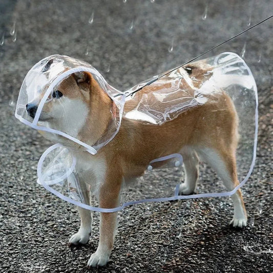 NoRain - capa de chuva para cachorros